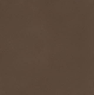 Dark Brown (Autumn Collection)